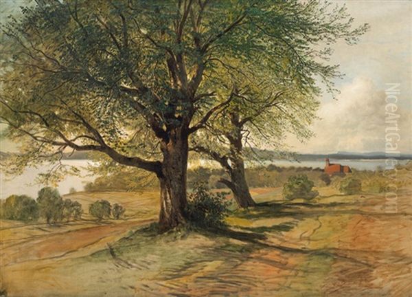 Blick Auf Den Attersee Oil Painting by August Schaefer von Wienwald