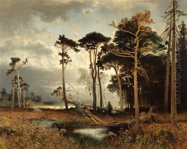 Evening Light Over A Pine Forest Oil Painting by August Schaefer von Wienwald