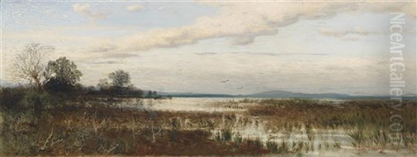 Partie Am Chiemsee, Moorlandschaft Oil Painting by August Schaefer von Wienwald