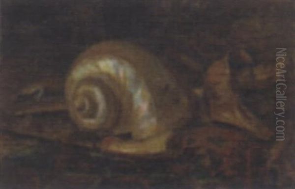 A Still Life With Shell And Keris Oil Painting by Dirk Schaefer