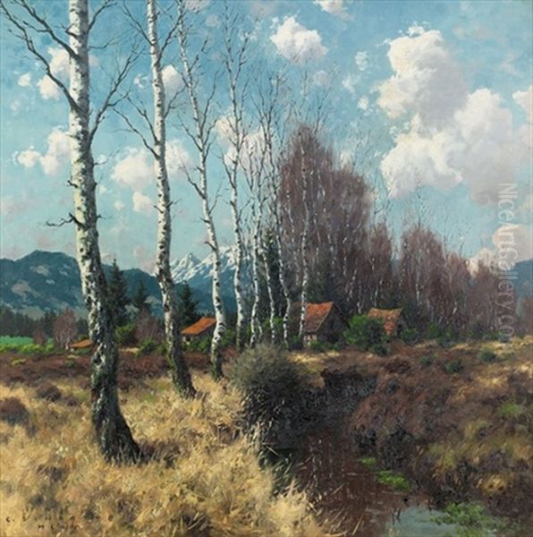 Landschaft Mit Bachlauf Und Birken In Den Voralpen Oil Painting by Karl Schaette