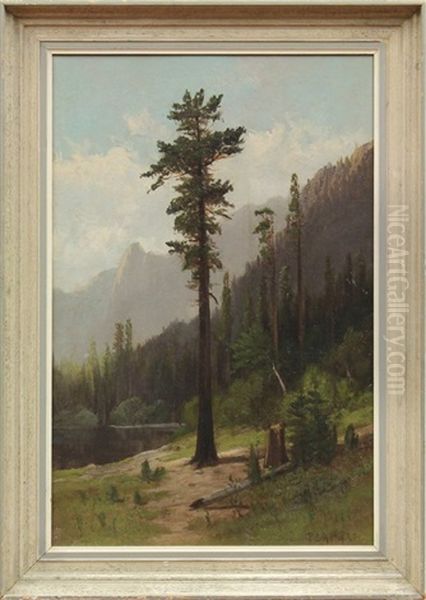 Lone Pine Oil Painting by Frederick Ferdinand Schafer