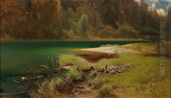 Lakeshore Scene On Lengsee Oil Painting by August Schaeffer