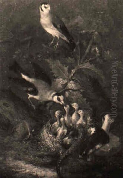 Vogelnest, Vogel Und Eidechse Im Waldgrund Oil Painting by Johann Jakob Schalch