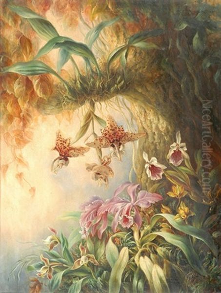 Baumstrunk Mit Wilden Orchideen Oil Painting by Friedrich (Moos) Schauta