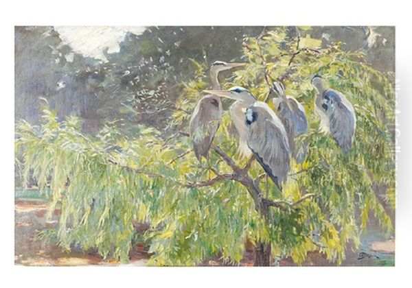 Animaleur Subject With Grey Herons On A Tree Oil Painting by Ferdinand Schebek