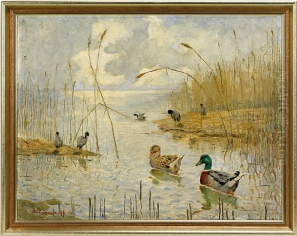 Seelandschaft Mit Wasservogel Oil Painting by Ferdinand Schebek