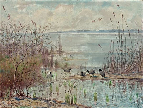 Fruhling An Einem Markischen See. Blesshuhner Am Ufer Zwischen Schilf. Weiter Blick Uber Das Gewasser Oil Painting by Ferdinand Schebek