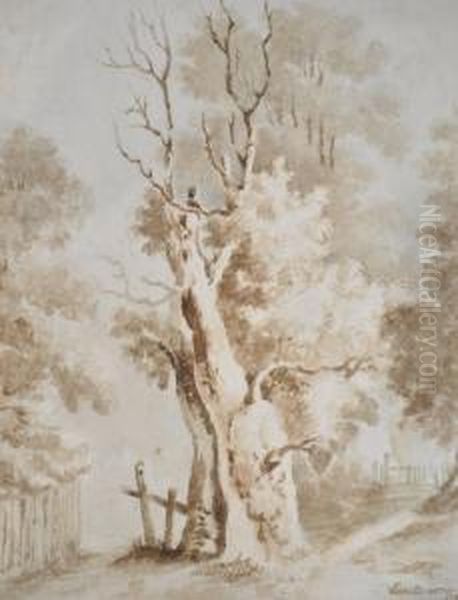 Old Tree Oil Painting by James, Rev. Bourne