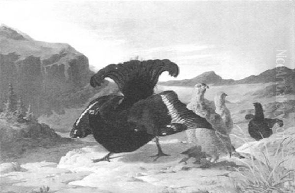 Balzender Birkhahn Mit Seinen Hennen Oil Painting by Carl Von Scheidlin