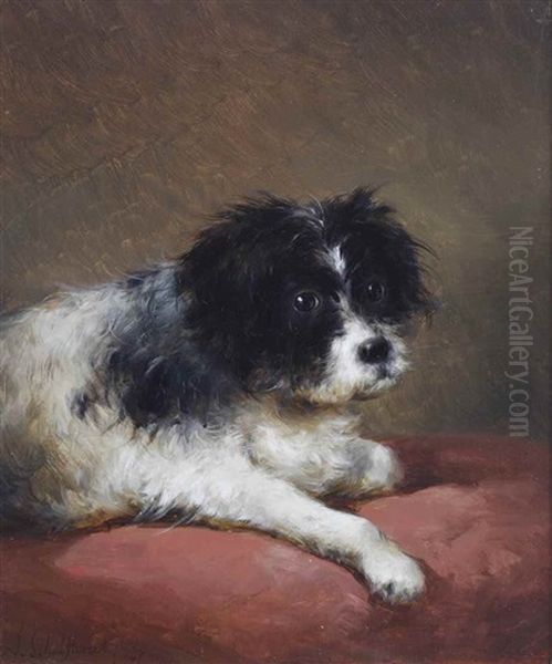 A Young Terrier On A Cushion Oil Painting by Andreas Schelfhout