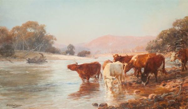 Cattle Drinking Oil Painting by Jan Hendrik Scheltema