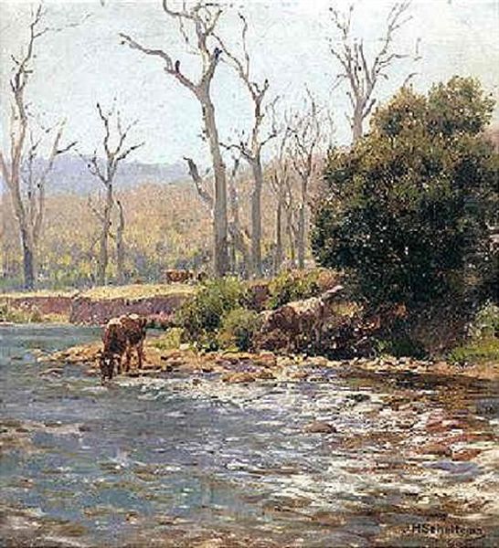 On The Banks Of The River Mitta, Mitta, Victoria Oil Painting by Jan Hendrik Scheltema