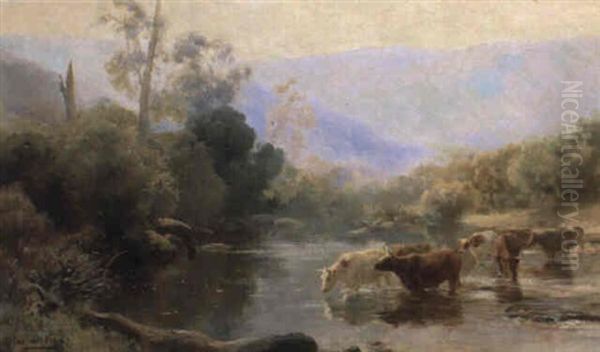 Cattle Drinking Oil Painting by Jan Hendrik Scheltema