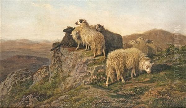 Sheep On The Hill Oil Painting by August Friedrich Albrecht Schenck