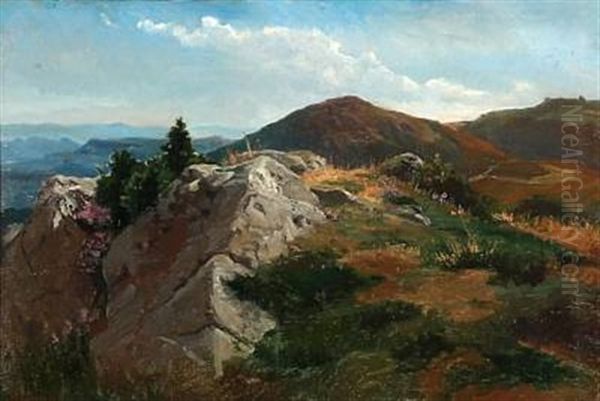 View Of A Hilly Landscape In Sunshine Oil Painting by August Friedrich Albrecht Schenck