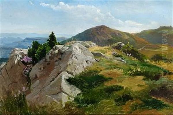 View Of A Hilly Landscape In Sunshine Oil Painting by August Friedrich Albrecht Schenck