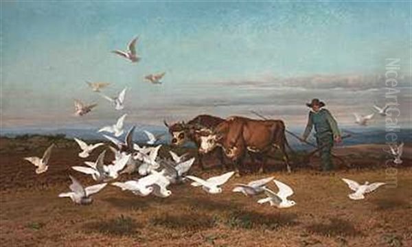 Landmanden Plojer Sin Mark Ved Hjaelp Af To Koer, Mens Duerne Flokkes Om Dem Oil Painting by August Friedrich Albrecht Schenck