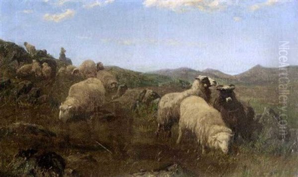 Moutons Au Paturage Oil Painting by August Friedrich Albrecht Schenck