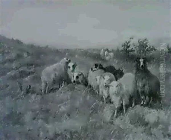 Moutons Dans La Lande Oil Painting by August Friedrich Albrecht Schenck