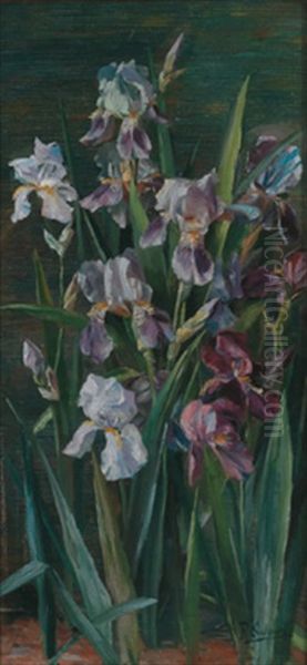 Lilien Oil Painting by Rosa Scherer