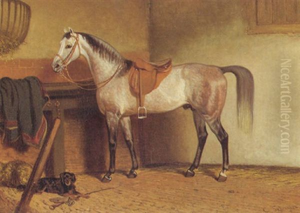 A Saddled Grey Horse In A Stable Oil Painting by Cornelis Albert Johannes Schermer