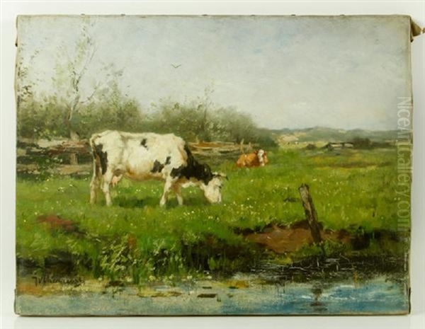 Landscape With Cows Oil Painting by Johan Frederik Cornelis Scherrewitz