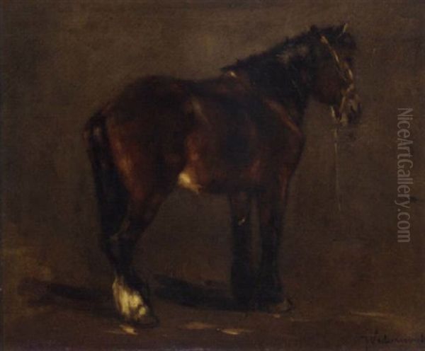 A Brown Horse Oil Painting by Johan Frederik Cornelis Scherrewitz