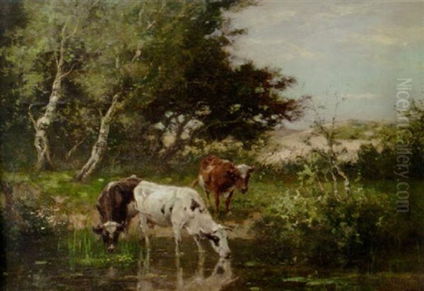 Cows Watering By A Pond In The Dunes Oil Painting by Johan Frederik Cornelis Scherrewitz