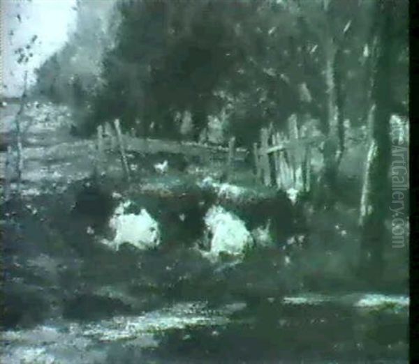 Study Of Cows Resting In A Pasture Oil Painting by Johan Frederik Cornelis Scherrewitz