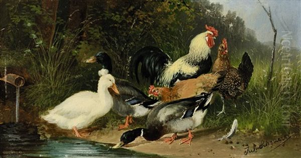 Huhner Und Enten Am Wasser Oil Painting by Julius Scheuerer