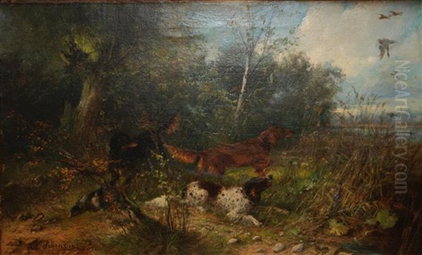 Dogs On The Hunt Oil Painting by Julius Scheuerer