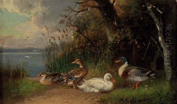 Enten Am See by Julius Scheuerer