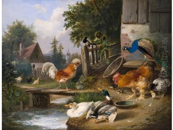 Huhnerhof Mit Pfau Und Enten Oil Painting by Julius Scheuerer