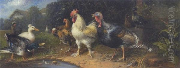 Hahn, Huhner, Enten Und Truthahn Oil Painting by Julius Scheuerer