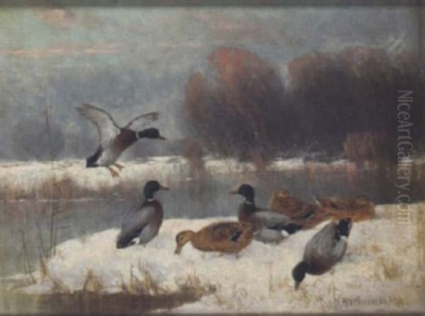 Wildenten Am Verschneiten Seeufer Oil Painting by Julius Scheuerer