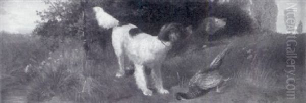 Zwei Jagdhunde Haben Einen Fasan Gestellt Oil Painting by Julius Scheuerer