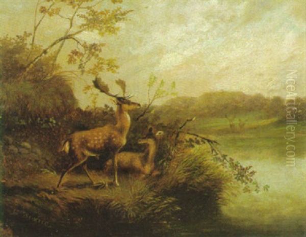 Damwild Am Flusufer Oil Painting by Julius Scheuerer