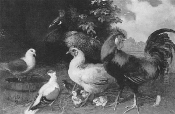 Ein Hahn, Ein Huhn, Zwei Tauben, Ein Pfau, Eine Meise Und Kucken Oil Painting by Julius Scheuerer