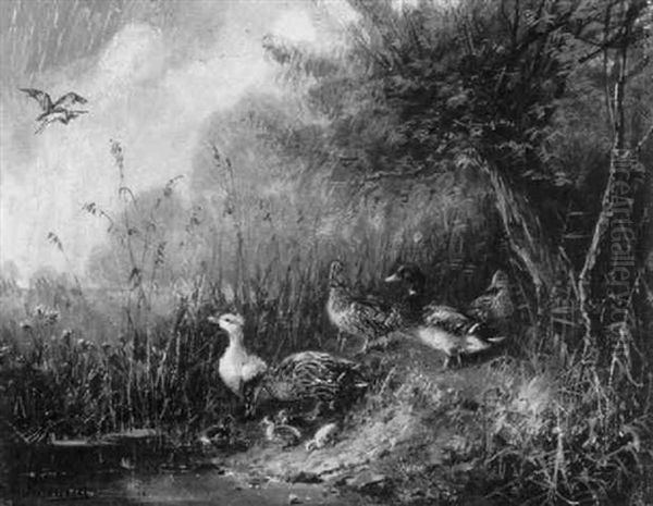 Enten Am Seeufer Oil Painting by Julius Scheuerer