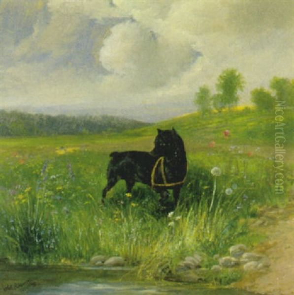 Schwarzer Hund In Landschaft Oil Painting by Julius Scheuerer