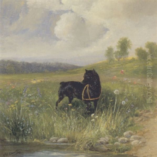 Schwarzer Hund In Landschaft Oil Painting by Julius Scheuerer