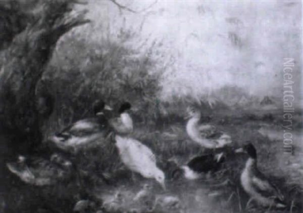 Enten Und Gans An Einem Teich Oil Painting by Julius Scheuerer