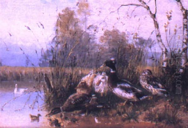 Ducks And Ducklings By A River Oil Painting by Julius Scheuerer