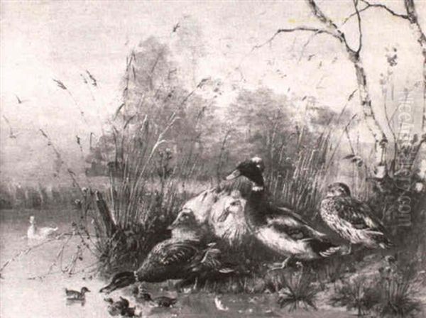 Ducks By A River Bank Oil Painting by Julius Scheuerer