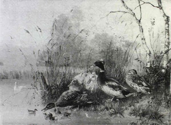 Ducks By A River Bank Oil Painting by Julius Scheuerer