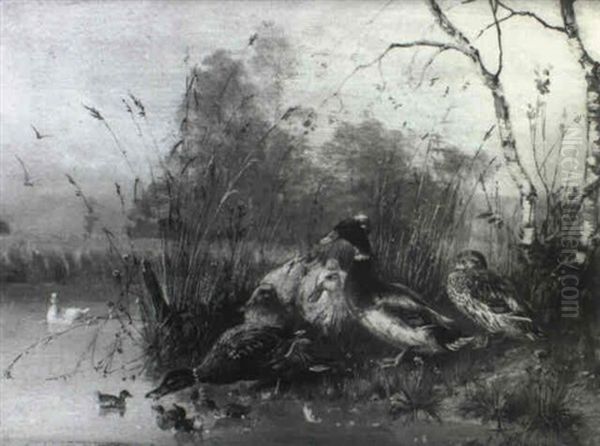 Ducks By A River Bank Oil Painting by Julius Scheuerer