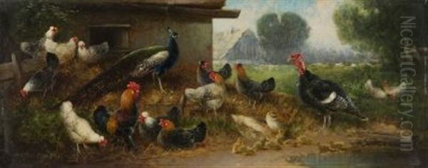 Huhnerhof Mit Pfau Und Truthahn Oil Painting by Otto Scheuerer