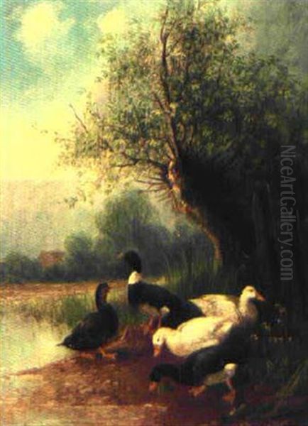 Enten Am Teich Unter Einer Kopfweide Oil Painting by Otto Scheuerer