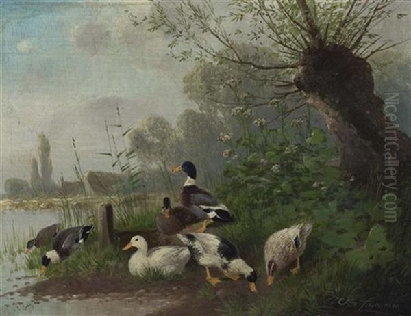 Enten Oil Painting by Otto Scheuerer